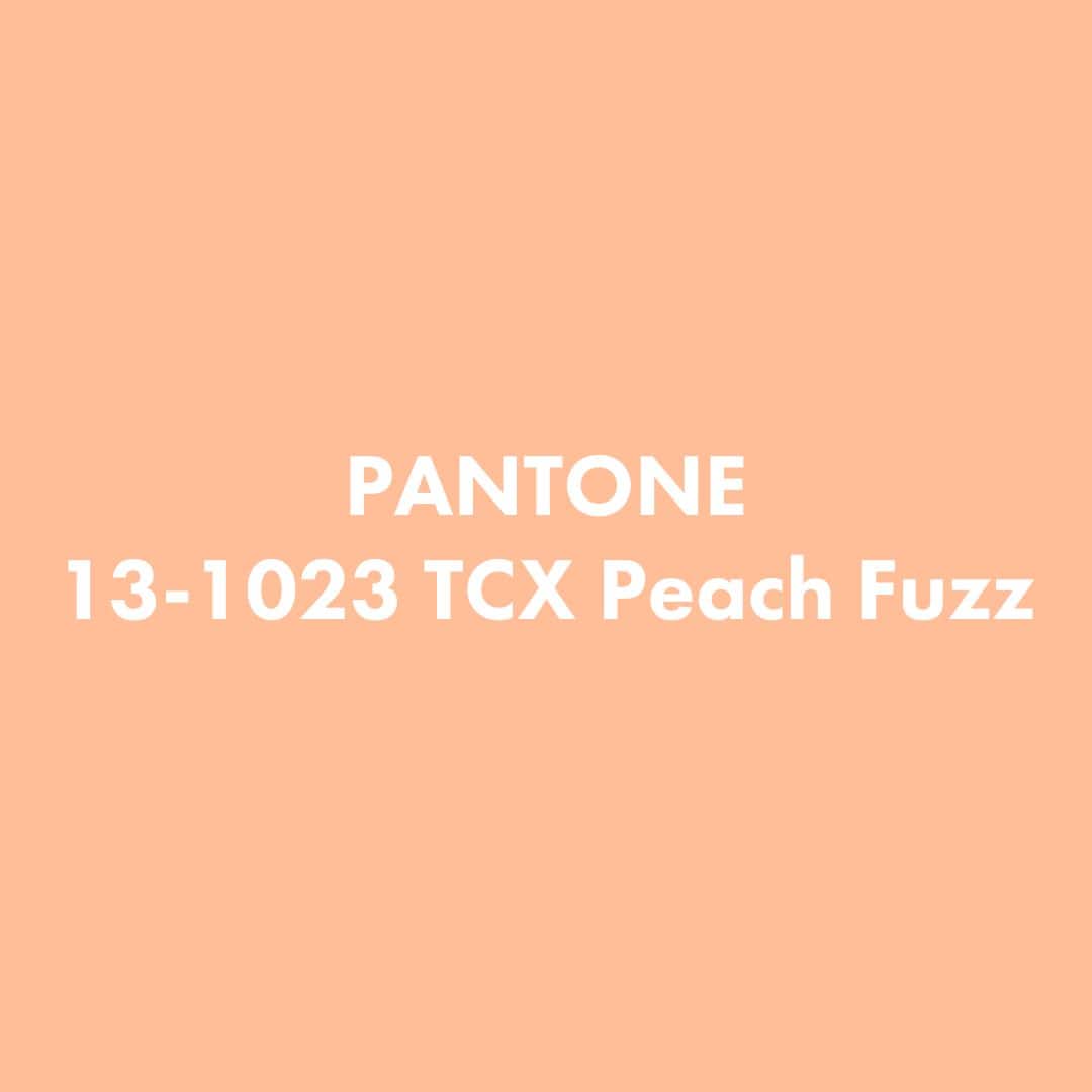 Barva roku 2024 Pantone Peach Fuzz